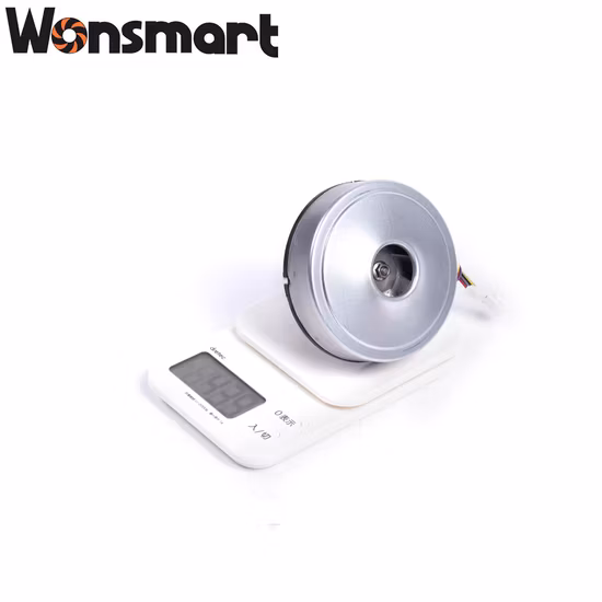 Wonsmart 48 V 10 kpa DC sans balais souffleur aspirateur souffleur